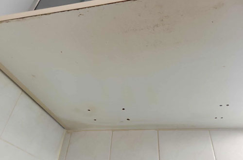 Oven door glass completely clean and streak-free after professional deep cleaning, restoring a clear reflective surface. Before and Afters