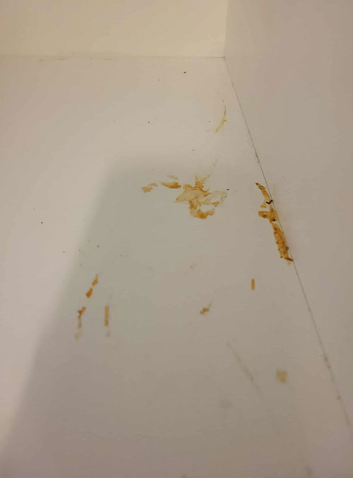 Dirty oven door glass with heavy grease and stains before professional deep cleaning service. Before and Afters